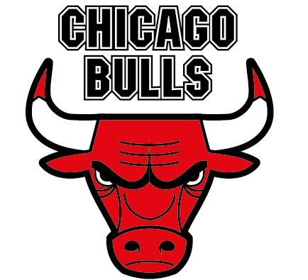 Former Chicago Bulls star retires