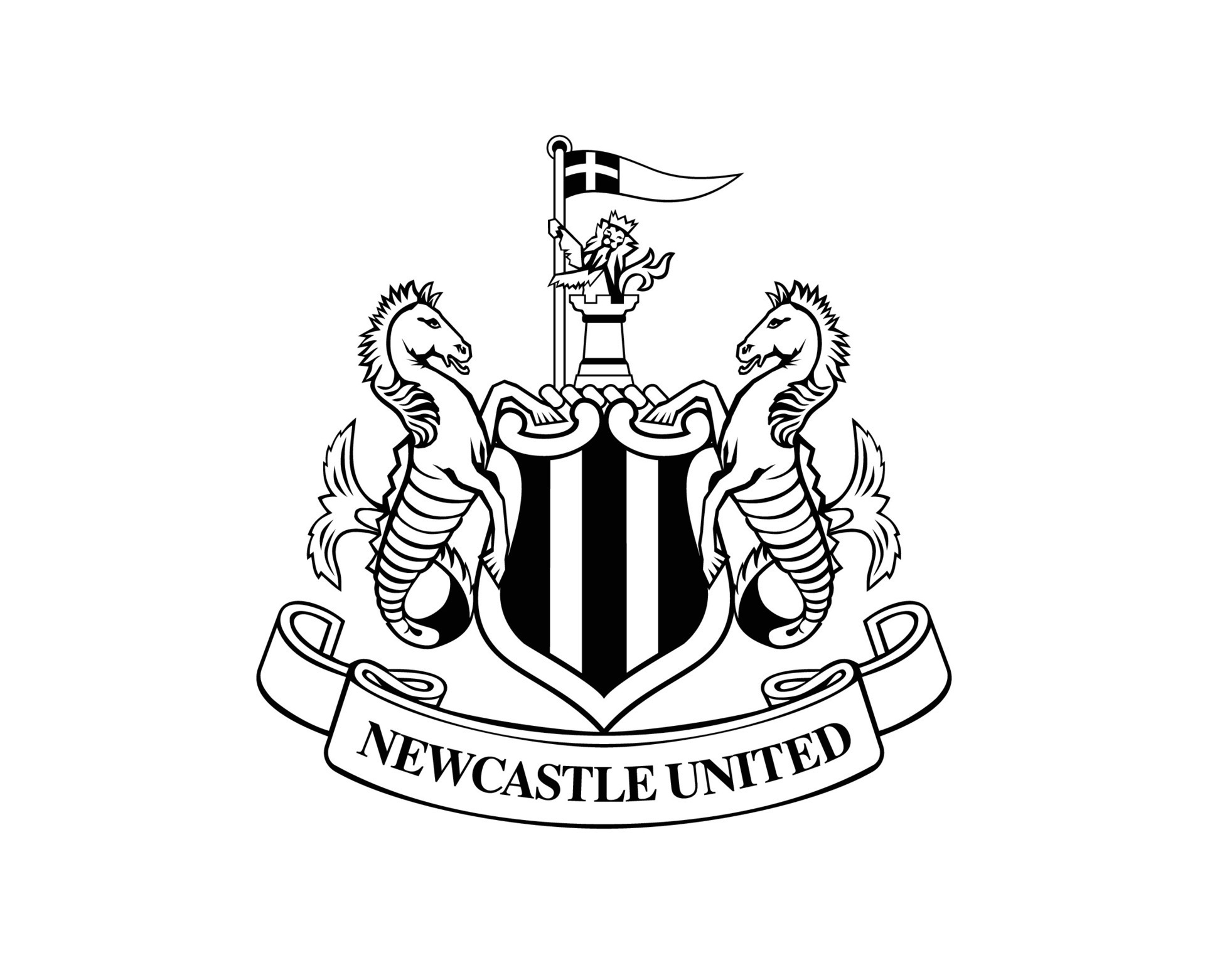 On new year’s eve, Newcastle United officially announces Danny Murphy.
